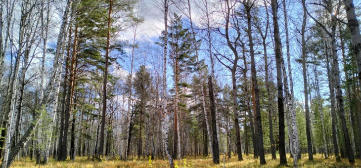 Земельный участок № 79 в Агат, цена 600 000 руб/сотка