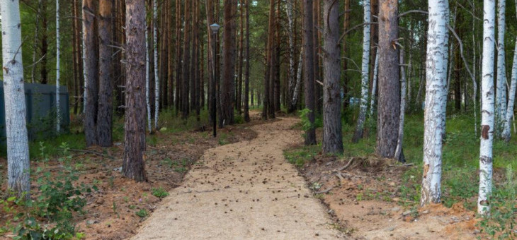 Участок № 129 в поселке Гранат, площадь 10.87 соток