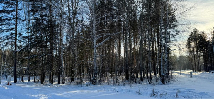 Участок № 59 в поселке Малахит, площадь 14.55 соток