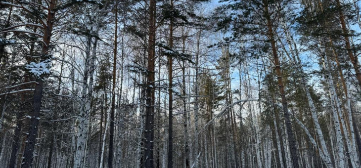 Участок № 59 в поселке Гранат, площадь 18.60 соток