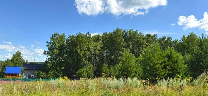 Участок № 5 в поселке Радость, площадь 13.04 соток