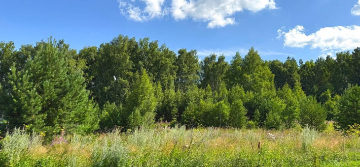 Участок № 7 в поселке Радость, площадь 15.19 соток