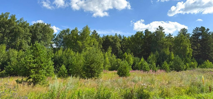 Участок № 8 в поселке Радость, площадь 15.31 соток