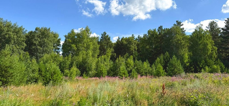 Участок № 10 в поселке Радость, площадь 15.18 соток