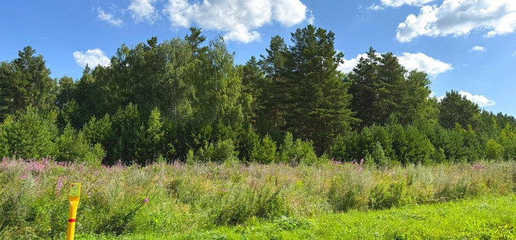 Участок № 11 в поселке Радость, площадь 14.96 соток