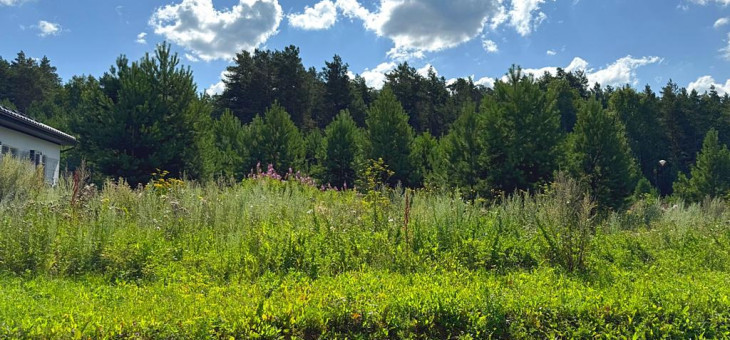 Участок № 18 в поселке Радость, площадь 15.15 соток