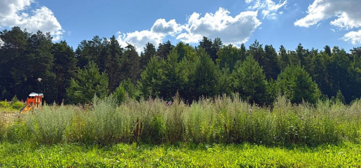 Участок № 19 в поселке Радость, площадь 14.94 соток