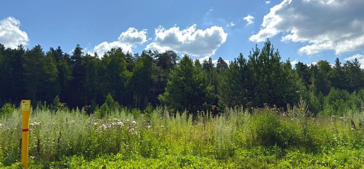 Участок № 24 в поселке Радость, площадь 14.94 соток