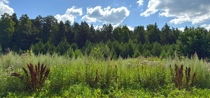 Участок № 25 в поселке Радость, площадь 14.94 соток