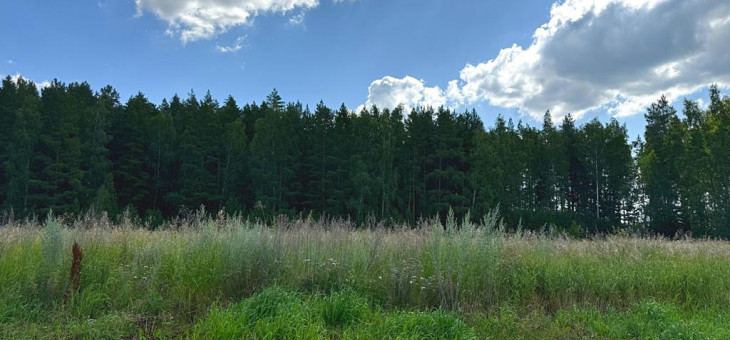 Участок № 36 в поселке Радость, площадь 16.20 соток