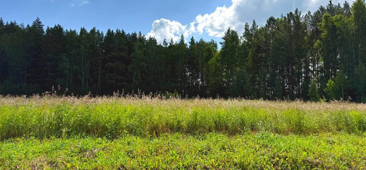 Участок № 37 в поселке Радость, площадь 16.20 соток