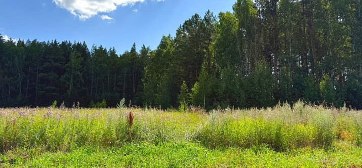 Участок № 38 в поселке Радость, площадь 22.33 соток