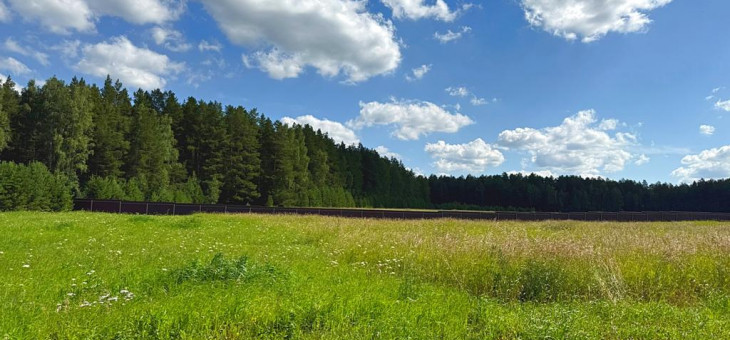 Участок № 41 в поселке Радость, площадь 15.00 соток