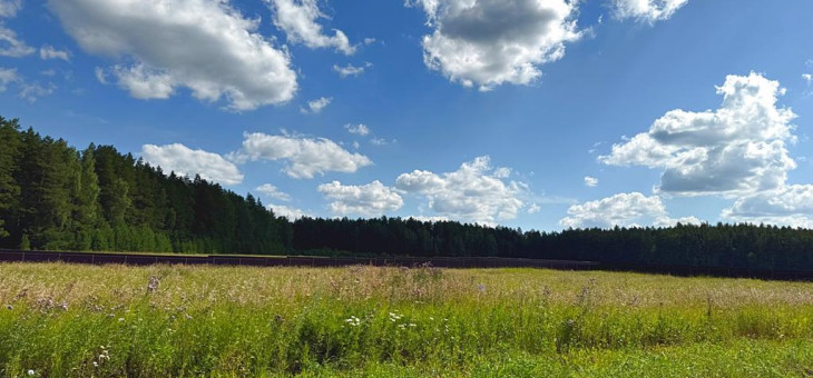 Участок № 42 в поселке Радость, площадь 15.00 соток