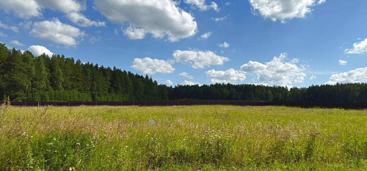 Участок № 43 в поселке Радость, площадь 15.00 соток