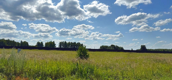 Участок № 46 в поселке Радость, площадь 14.12 соток