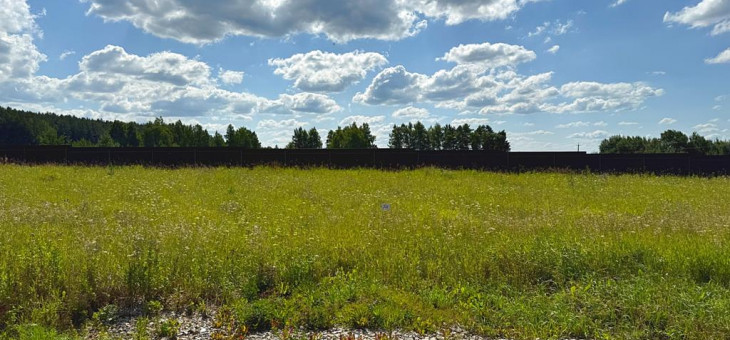 Участок № 53 в поселке Радость, площадь 11.13 соток