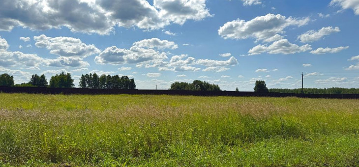 Участок № 59 в поселке Радость, площадь 10.62 соток