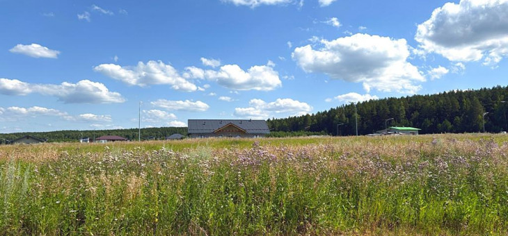 Участок № 85 в поселке Радость, площадь 8.75 соток