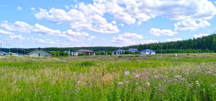 Участок № 95 в поселке Радость, площадь 10.07 соток