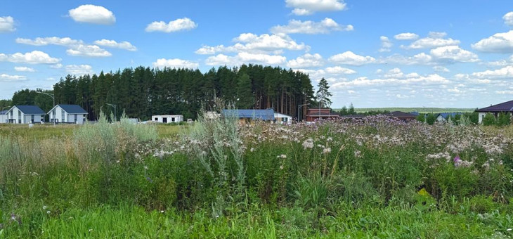 Участок № 98 в поселке Радость, площадь 9.57 соток