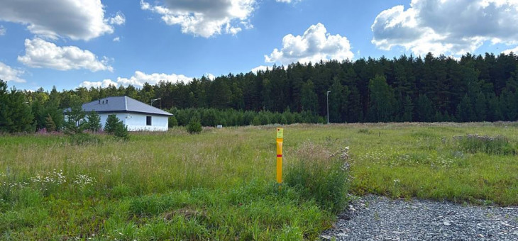 Участок № 113 в поселке Радость, площадь 9.15 соток