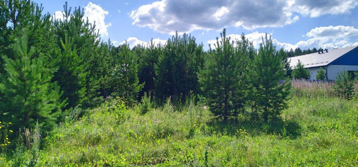 Участок № 123 в поселке Радость, площадь 8.69 соток