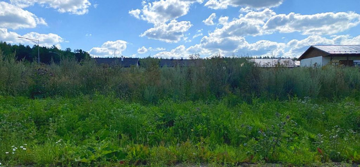 Участок № 189 в поселке Радость, площадь 8.16 соток