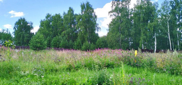 Участок № 248 в поселке Радость, площадь 16.13 соток