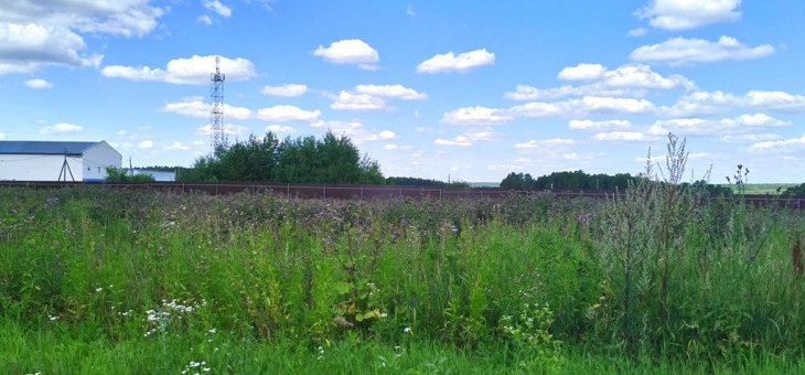 Участок № 250 в поселке Радость, площадь 8.12 соток