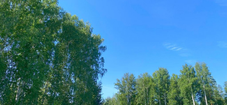 Участок № 35А в поселке Совята, площадь 13.32 соток