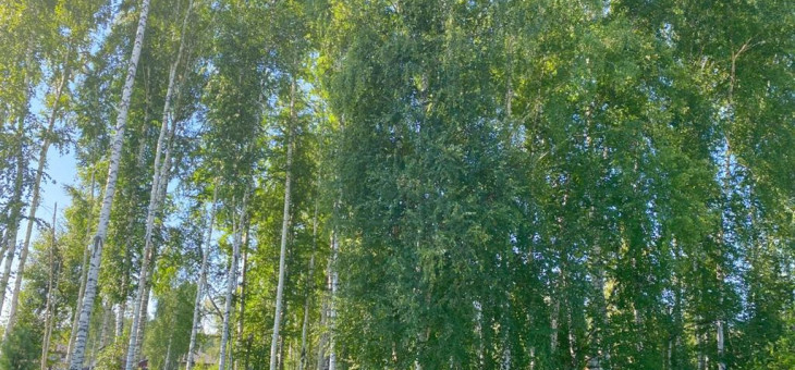 Участок № 35 в поселке Совята, площадь 13.42 соток