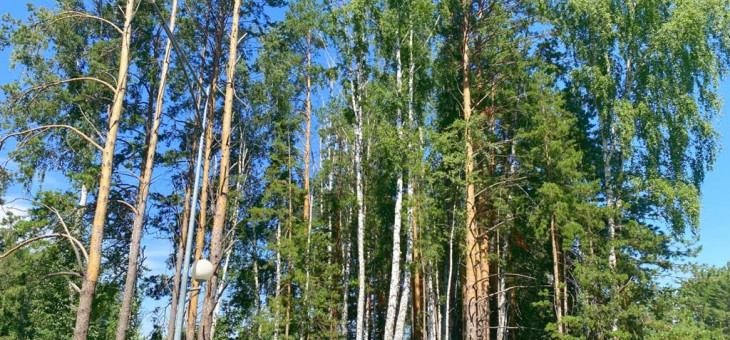 Участок № 2 в поселке Орёл, площадь 11.27 соток