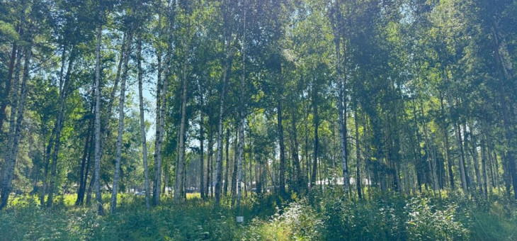 Участок № 2 в поселке Агат, площадь 15.00 соток