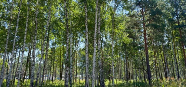 Участок № 3 в поселке Агат, площадь 15.01 соток