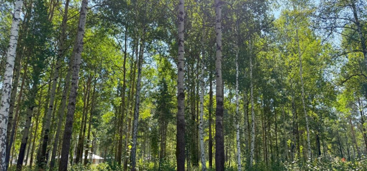 Участок № 5 в поселке Агат, площадь 15.00 соток