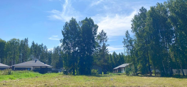 Участок № 19 в поселке Жемчужный, площадь 12.08 соток