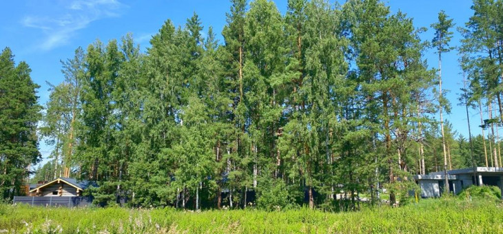 Участок № 21 в поселке Жемчужный, площадь 12.83 соток