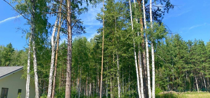 Участок № 32 в поселке Жемчужный, площадь 13.00 соток