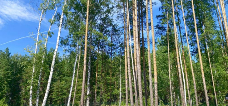 Участок № 34 в поселке Жемчужный, площадь 12.02 соток