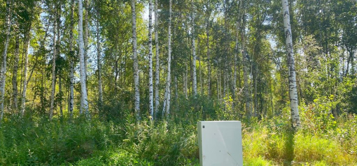 Участок № 51 в поселке Жемчужный, площадь 13.03 соток