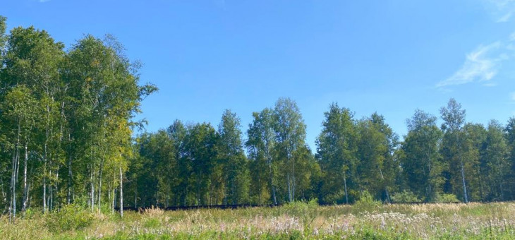 Участок № 53 в поселке Жемчужный, площадь 13.00 соток