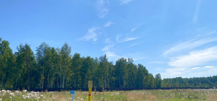 Участок № 56 в поселке Жемчужный, площадь 15.92 соток