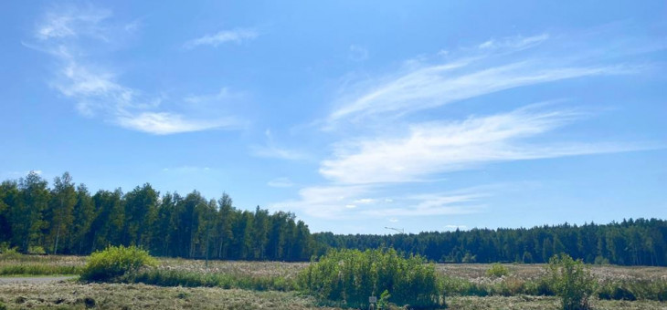 Участок № 59 в поселке Жемчужный, площадь 15.12 соток