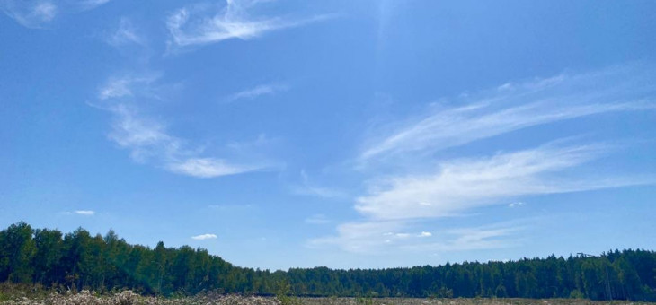 Участок № 60 в поселке Жемчужный, площадь 9.74 соток