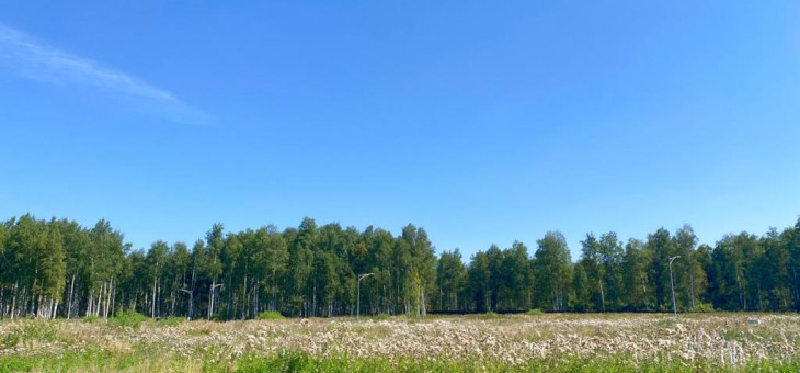 Участок № 61 в поселке Жемчужный, площадь 11.14 соток