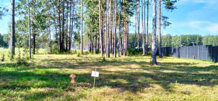 Участок № 1 в поселке Аист, площадь 9.95 соток