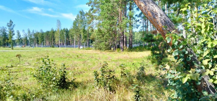 Участок № 2 в поселке Аист, площадь 10.14 соток