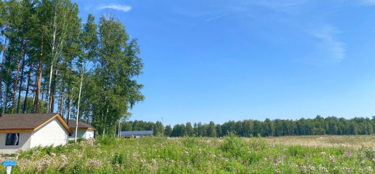 Участок № 75 в поселке Жемчужный, площадь 9.15 соток