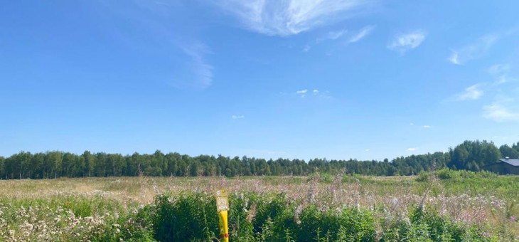 Участок № 76 в поселке Жемчужный, площадь 10.66 соток